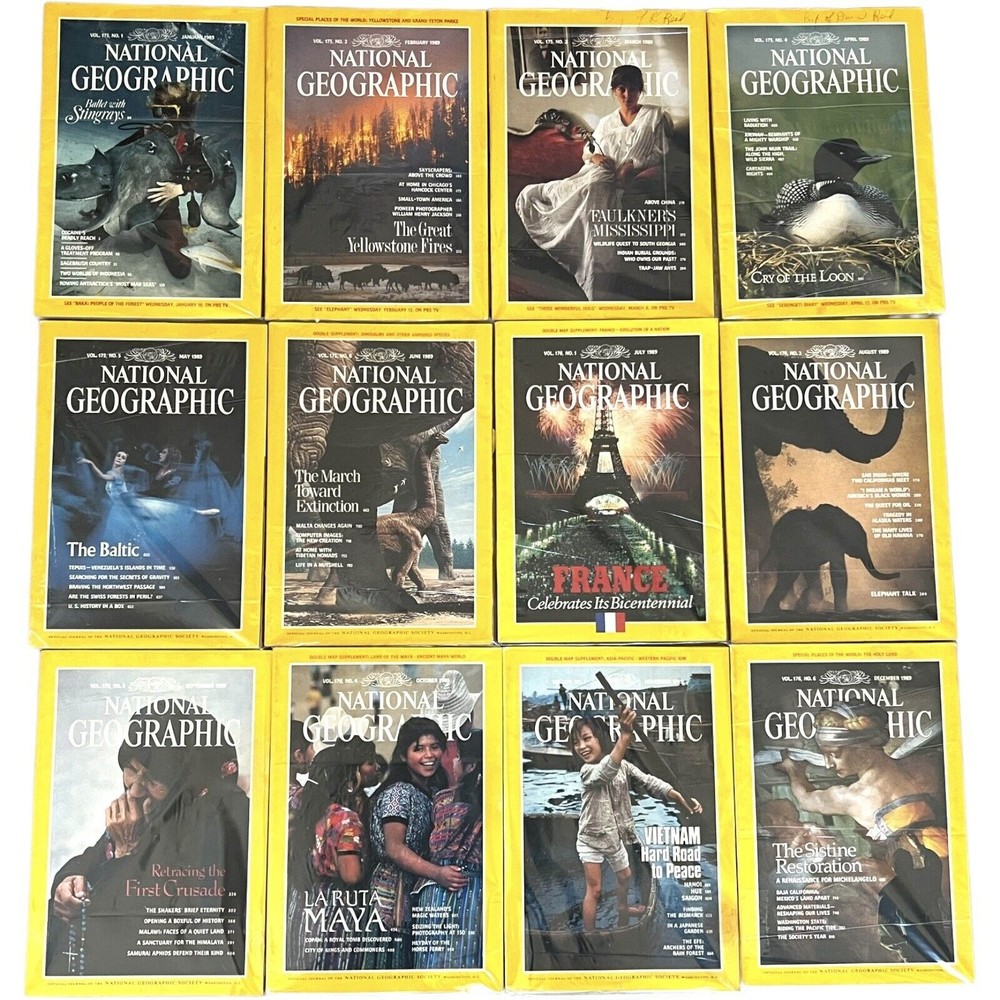 National Geographic Magazine -1989 Full Year (Lot of 12)
